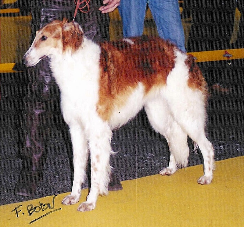 Noubia des Crocs de la Moliere