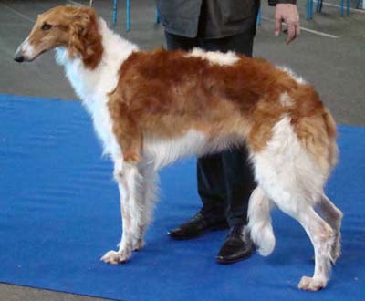 Ulichka des Crocs de la Moliere