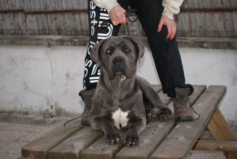 Fara des Crocs de la Moliere